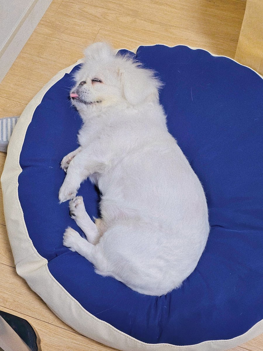 🍒🍒🍒 tweet media