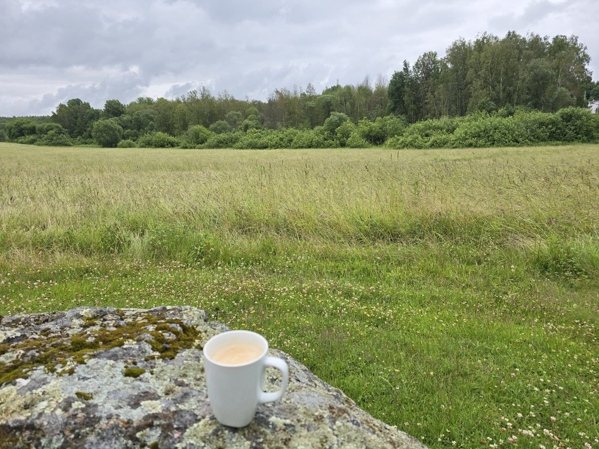 Djharris tweet media