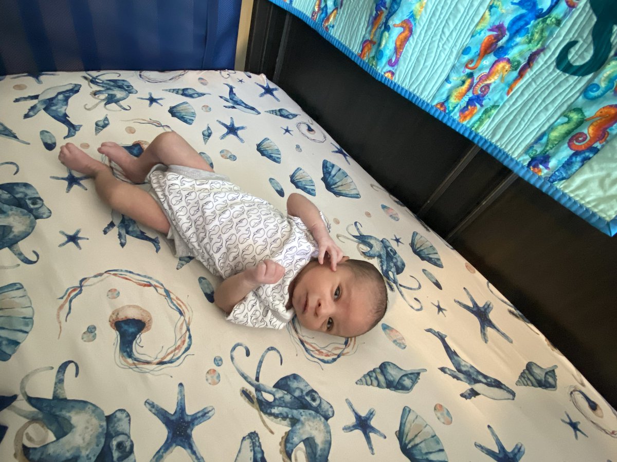 Libi Jay tweet media