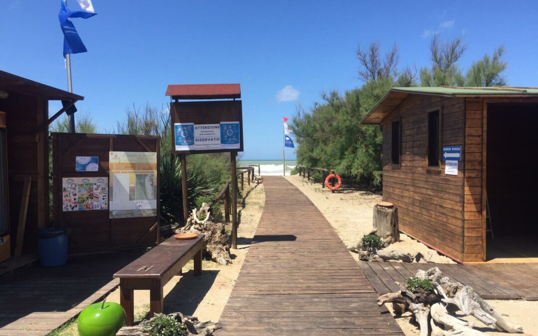 Una giornata sulla spiaggia di San Rossore
Dal 28 giugno attiva la visita alla Buca del Mare
E a luglio riparte la pesca sportiva sul fiume Morto
#SanRossoredavivere #Estatenatura #spiaggiaincontaminata
bit.ly/BucaMare