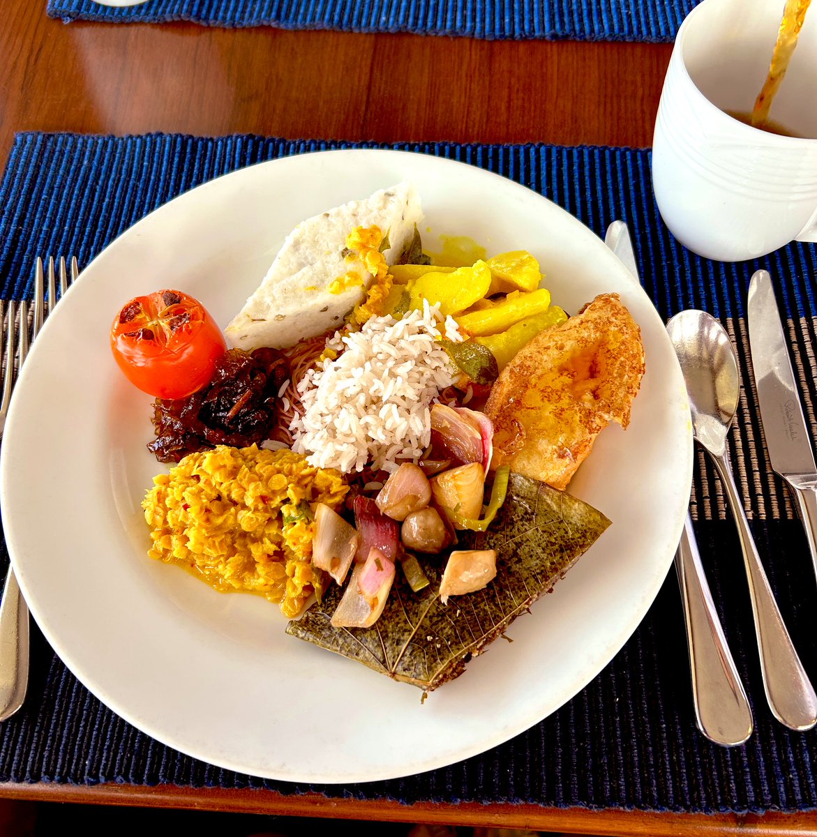 スリランカ🇱🇰 色々衝撃過ぎて凄い旅だった、アジアの中でまた行きたい国ナンバー1🪷🇱🇰