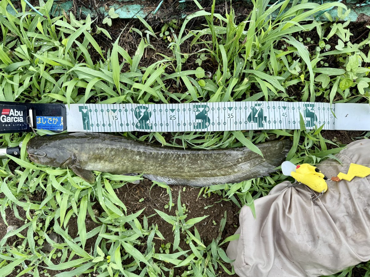 うたまる (@utamarunext) / Posts / X