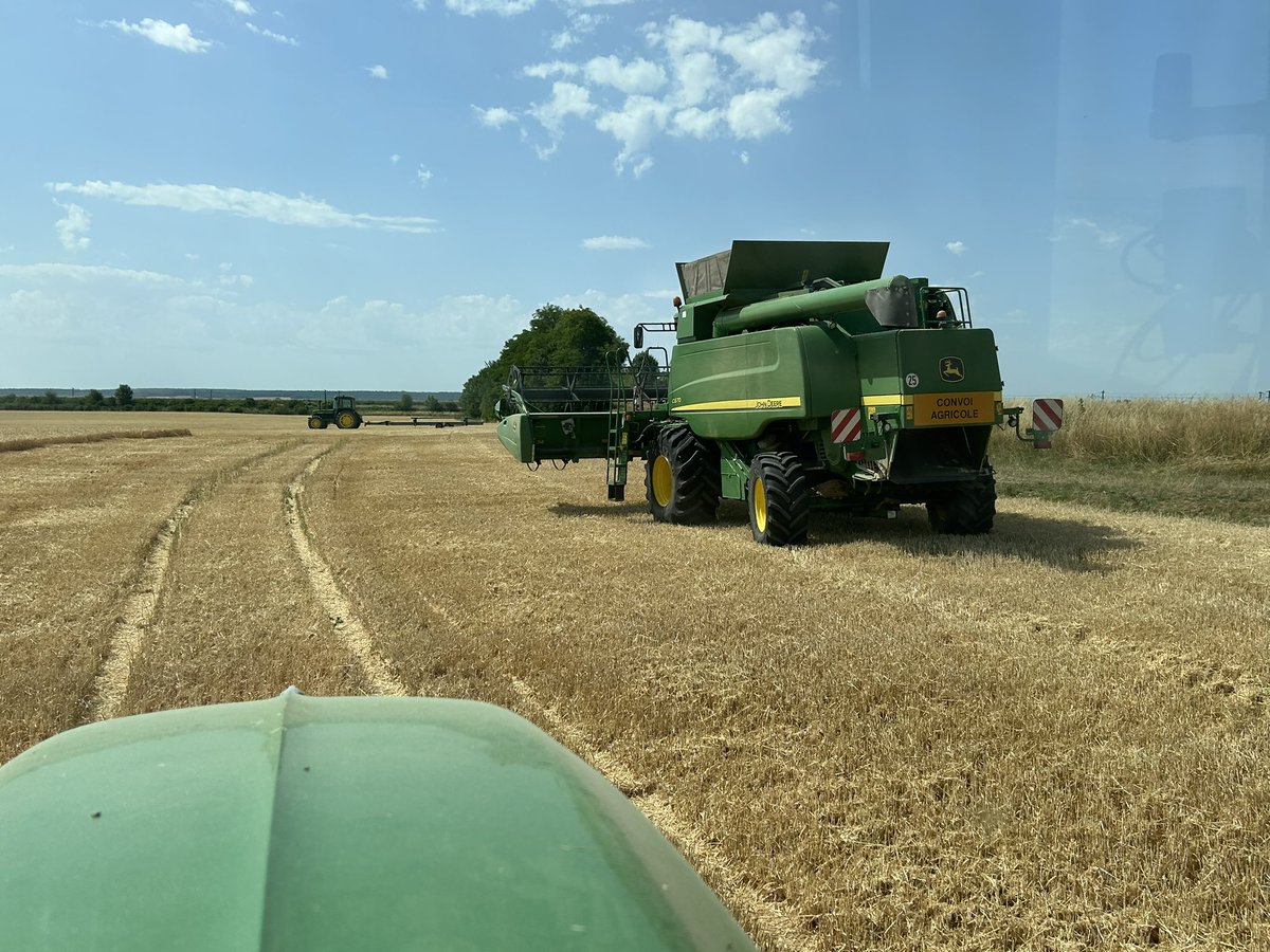 Dans les #OPA 🌾 avec 98% de calibrage. Rdt a suivre… ça a l’air bon