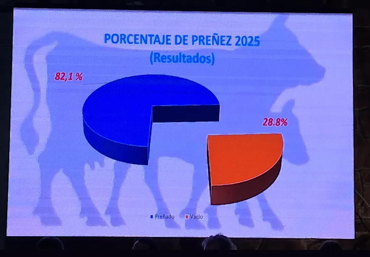 Mario Chiossoni🩺 tweet media