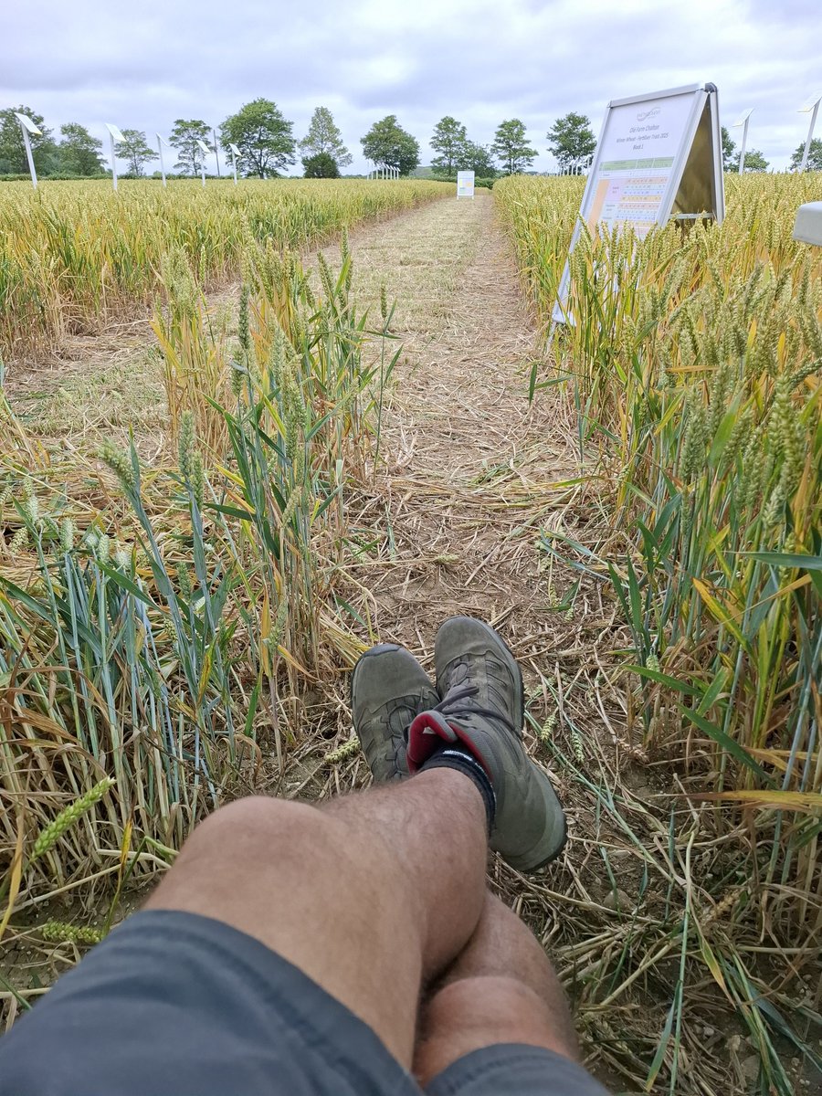 Scott Garnett tweet media