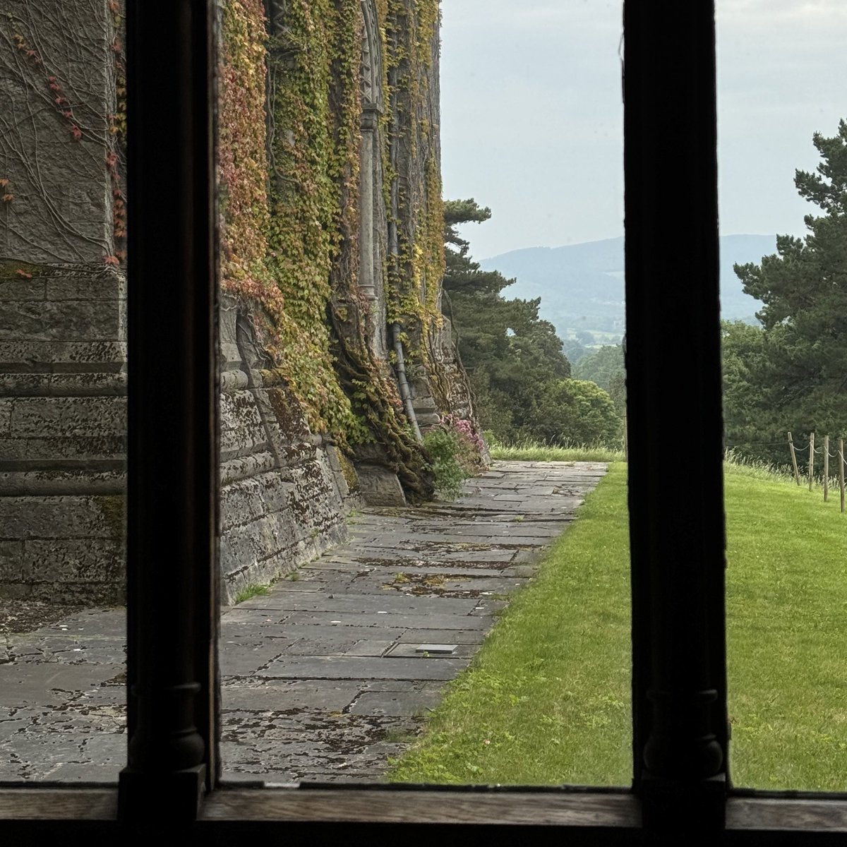 عبدالله بن عيد tweet media