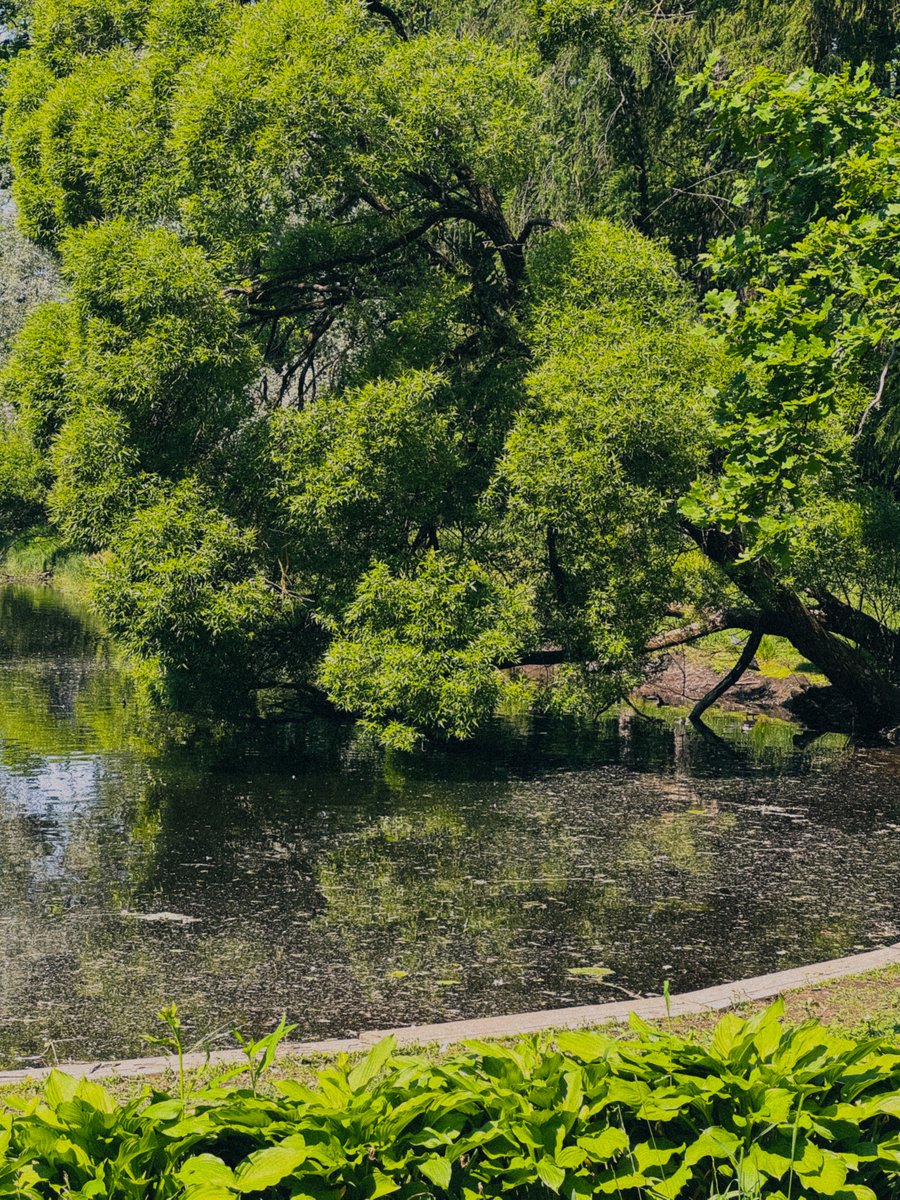 Good morning, friends 🔆
I missed you 🫂 Had some problems with my VPN, hope it will work better now 😅

How's your day going?