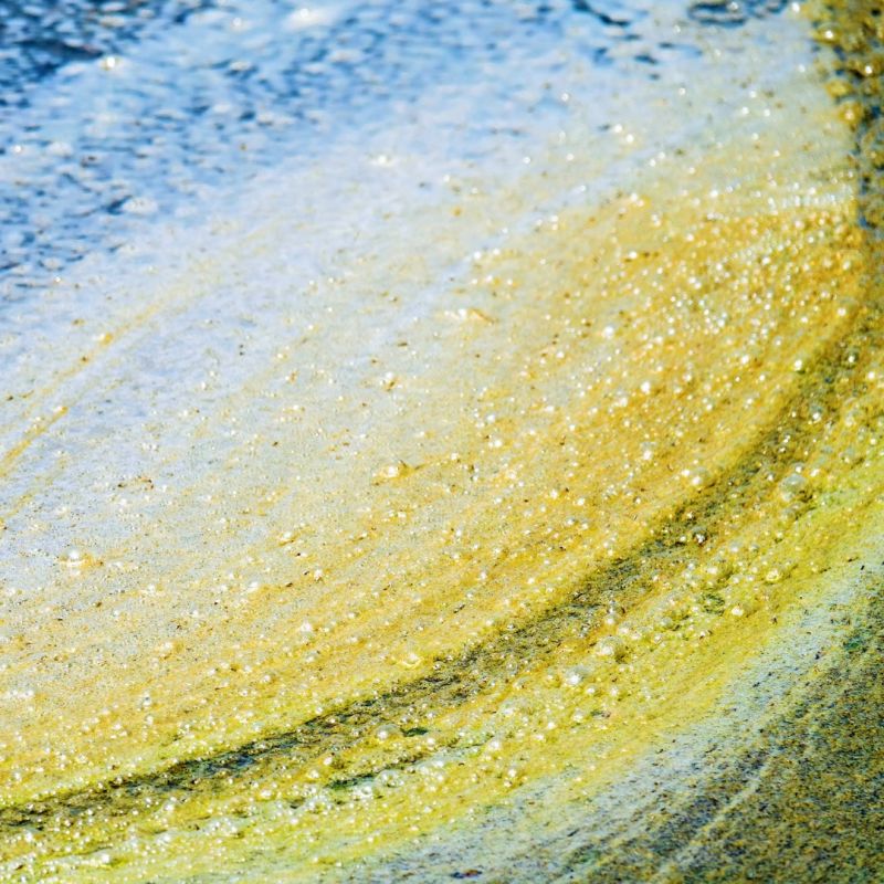 💡 Want to be the first to hear about #biofilm #innovation?

📫 Sign up to our monthly newsletter and hear about the latest news updates, publications, events, #funding and industry opportunities!

✔️Sign up at biofilms.ac.uk

#biofilm #biofilms #research #AMR #scicomm