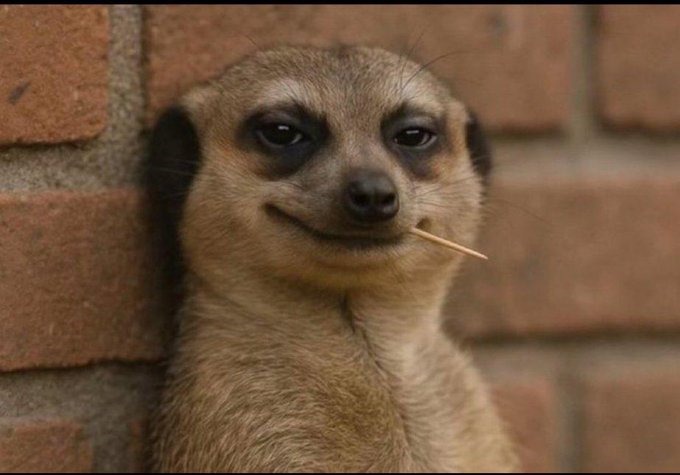 TheBoyAnalyst's tweet image. Me: I will learn a lot in this class today 

MTN: