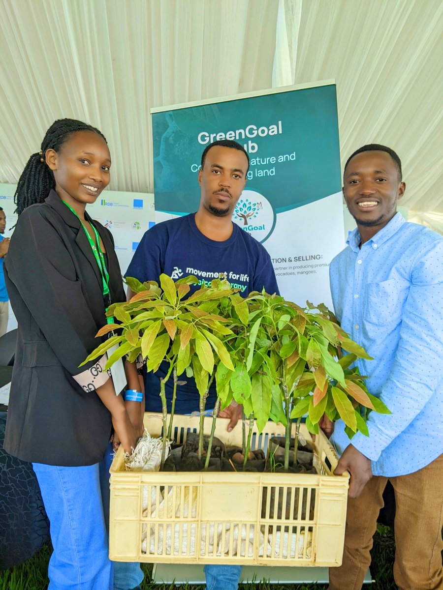 GreengoalR's tweet image. Ready to Grow? Join us today at #RwandaAgriShow2025!
Explore our finest high-yield fruit seedlings, all nurtured for October-December planting. We always have the best for you!
Don't miss out— Come and make your order today ! Find us at EDP stand or call 0788275361