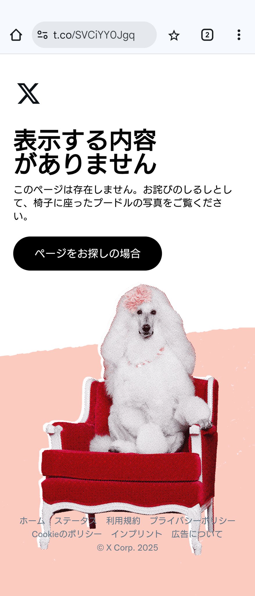 いぬころくんくん ぞろめ！ on X: 