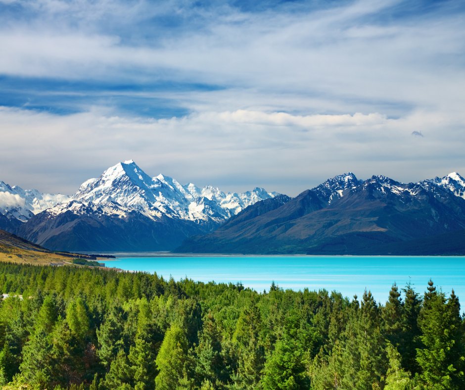 HowzatTravel's tweet photo. We are now ON SALE with our packages for England’s upcoming T20I and ODI Tour to New Zealand!🏏

Enjoy 3 T20Is and 3 ODIs against the Black Caps in a tour packed with pace, power, and unforgettable moments.

Secure your place here 👉 https://t.co/3AAJekSDgJ https://t.co/QvmWePhDrS