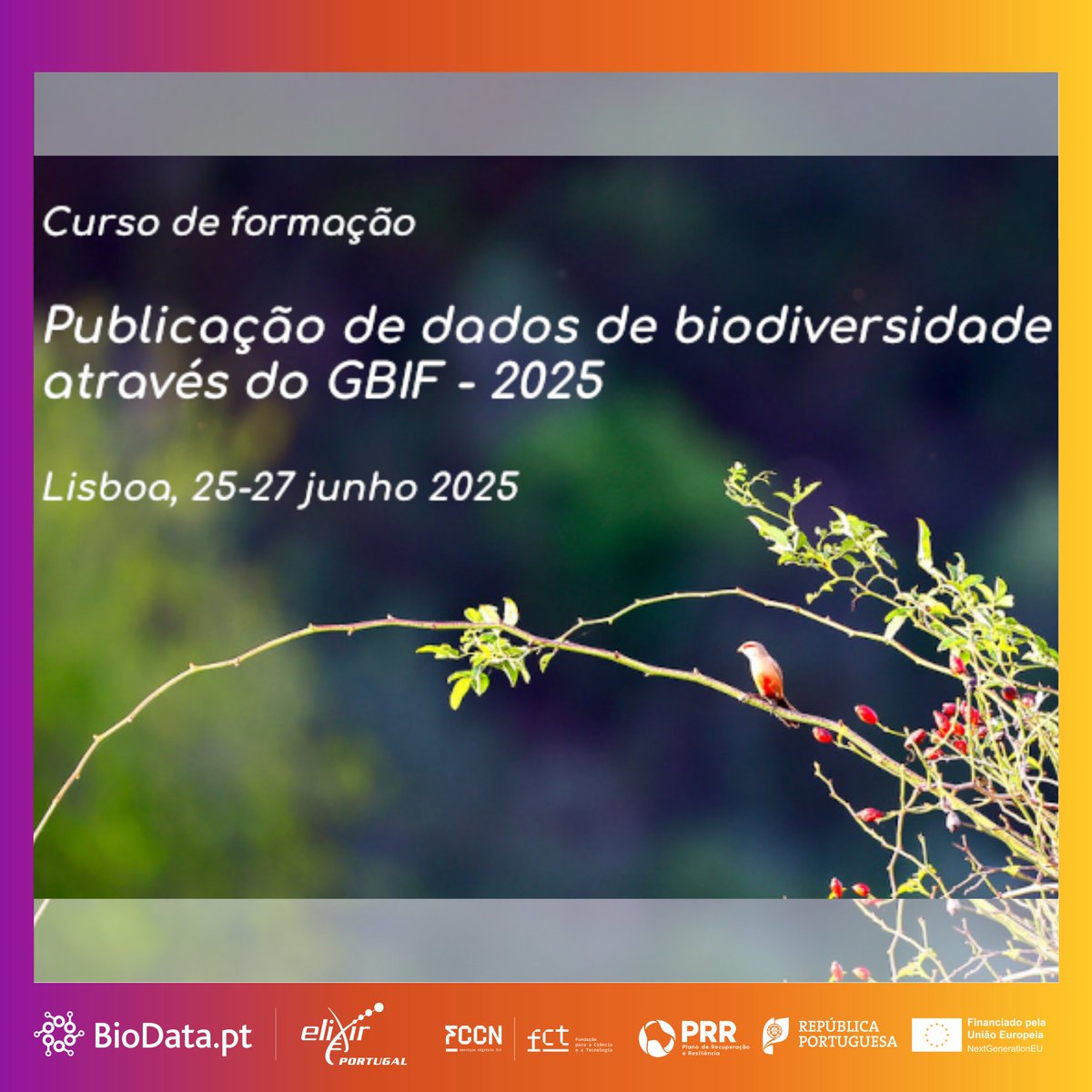 BioData.pt (@biodatapt) on Twitter photo ๐ GBIF Training in action!
This week, Miguel Cisneiros from @BioData_pt is attending โPublicaรงรฃo de dados de biodiversidade atravรฉs do GBIF - 2025โ at <a href="/isagronomia/">Instituto Superior de Agronomia</a> .
Building FAIR data skills to support RDM across biodiversity, life & health sciences! ๐
#BioData_pt #ISA ๐ GBIF Training in action!
This week, Miguel Cisneiros from @BioData_pt is attending โPublicaรงรฃo de dados de biodiversidade atravรฉs do GBIF - 2025โ at <a href="/isagronomia/">Instituto Superior de Agronomia</a> .
Building FAIR data skills to support RDM across biodiversity, life & health sciences! ๐
#BioData_pt #ISA