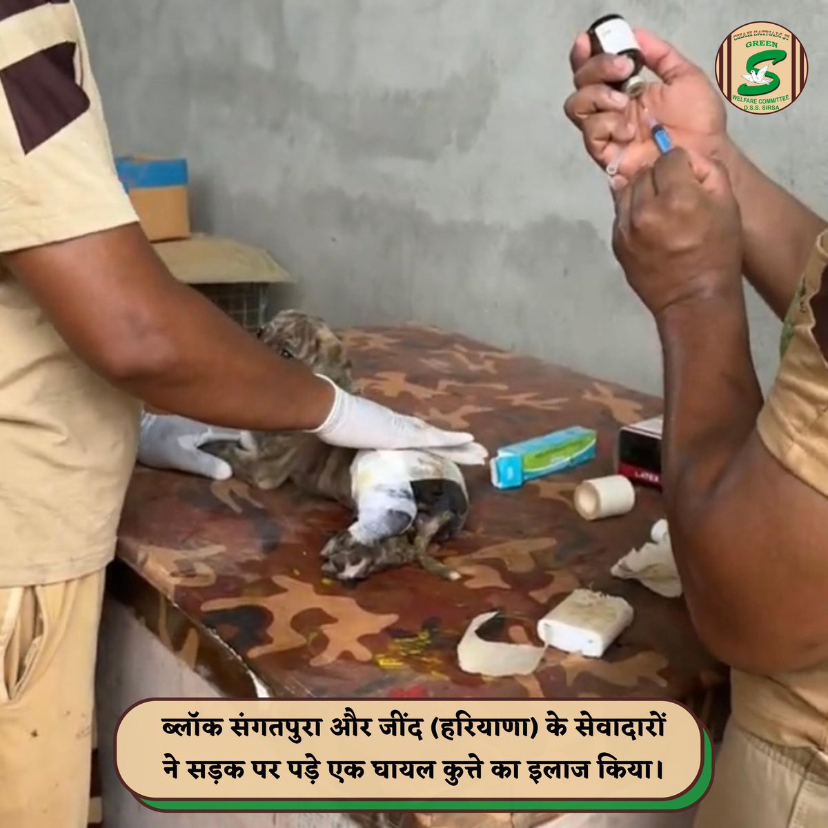 Shah Satnam Ji Green S Welfare Committee tweet media