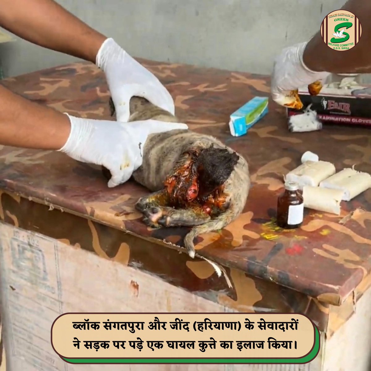 Shah Satnam Ji Green S Welfare Committee tweet media