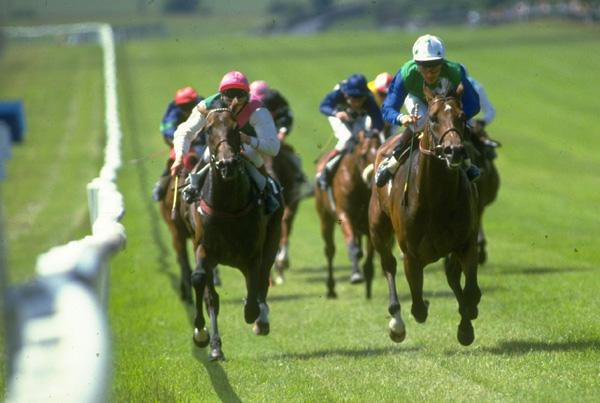 With Secreto an absentee (a half share in the Derby winner was in the process of being sold) and Darshaan a non-runner due to the firm ground, El Gran Senor faced 6 rivals in the 1984 Irish Derby. His supporters never had an anxious moment as he defeated Rainbow Quest by a length