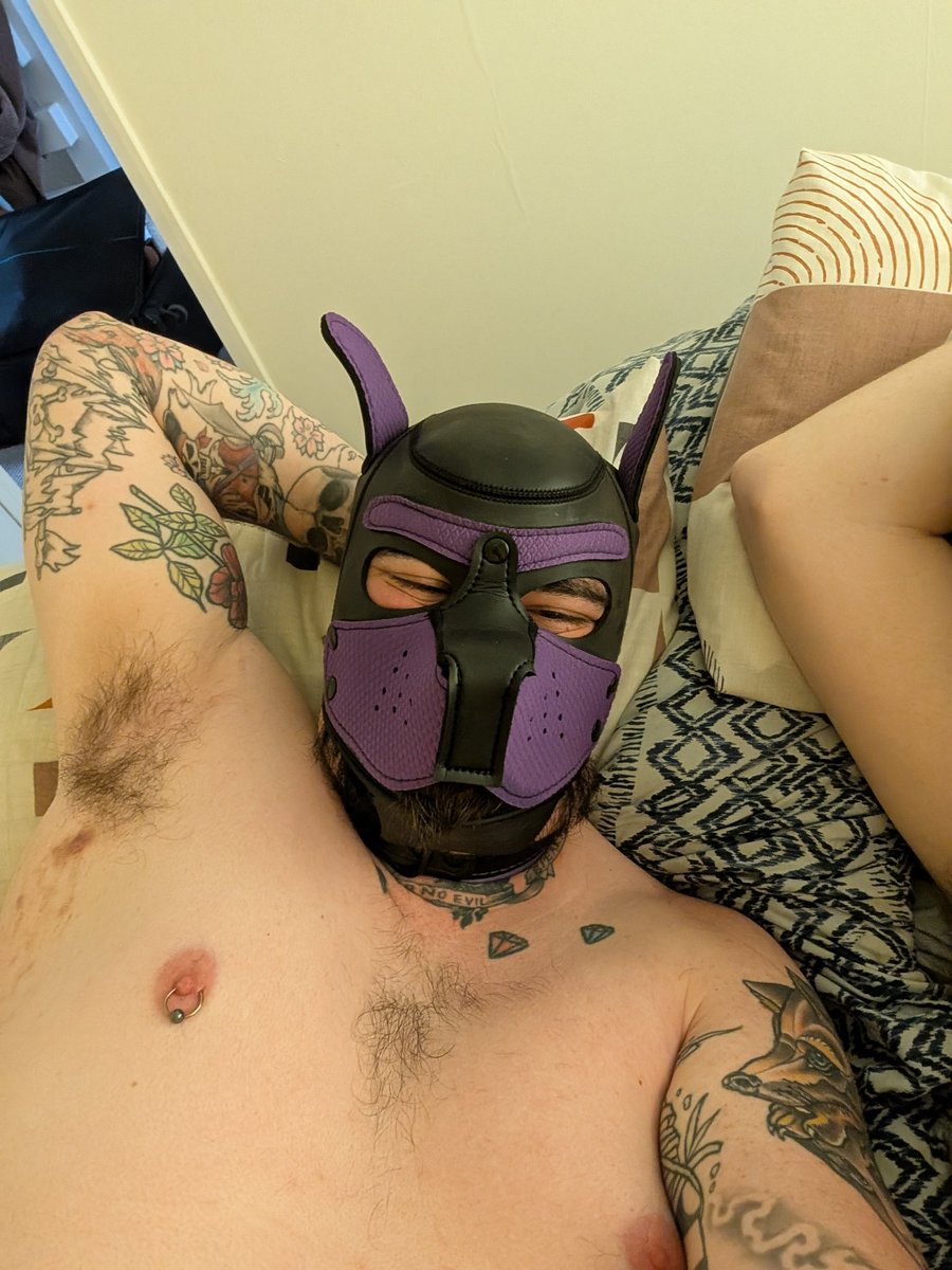 AldurfoxAD's tweet photo. Look at my puppy in my hood. He's such a cutie. https://t.co/57KDTPY6Jk