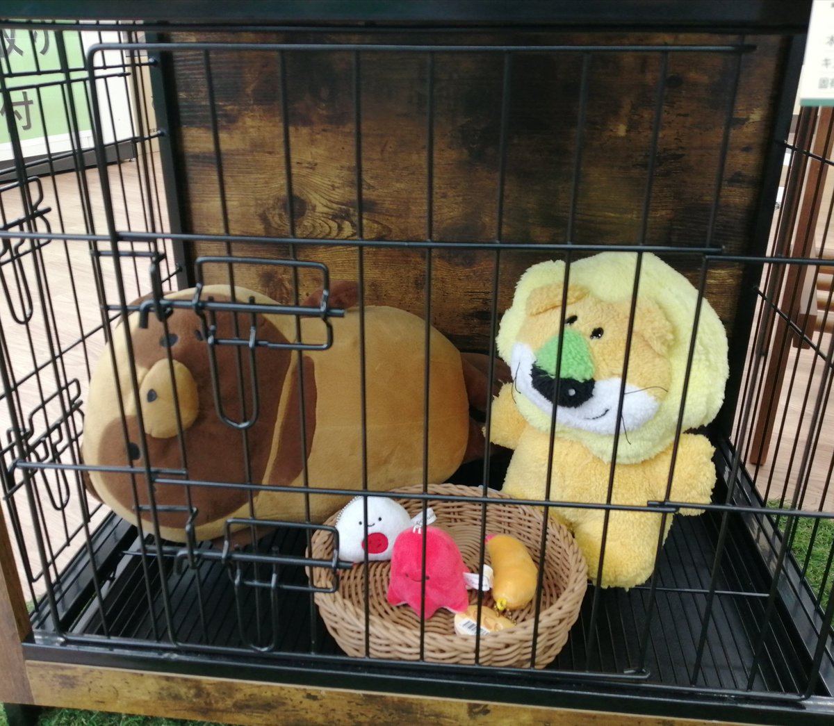 木目調のおしゃれなペットケージがやってきました！

とりあえず、らいおんくんとたぬきさんに入ってもらいました。
ご飯付きです🍙

#たべっ子どうぶつ
#オフハウス
#ハードオフ
#燕三条