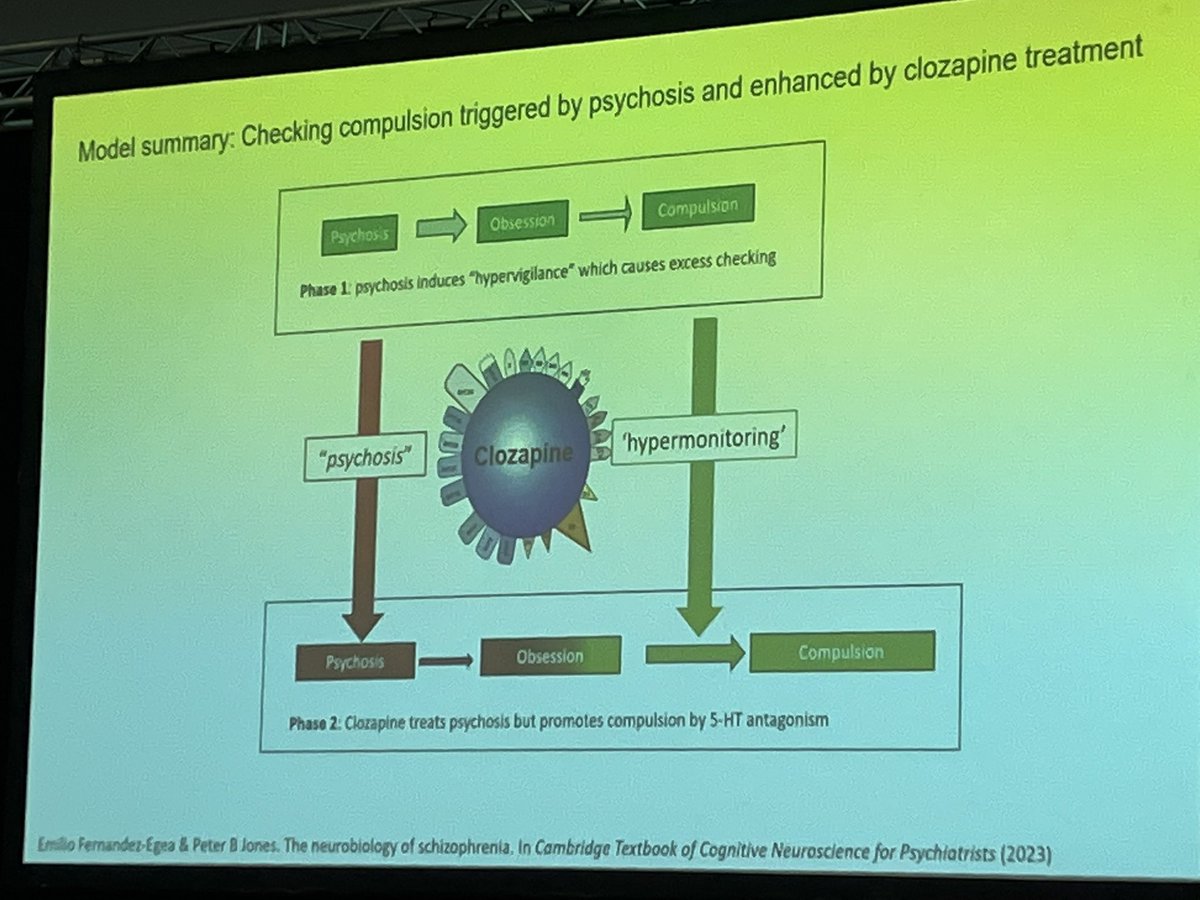 dr_l_evans's tweet image. Thought-provoking talk about the OCD and schizophrenia continuum by Dr Emilio Fernandez-Egea.