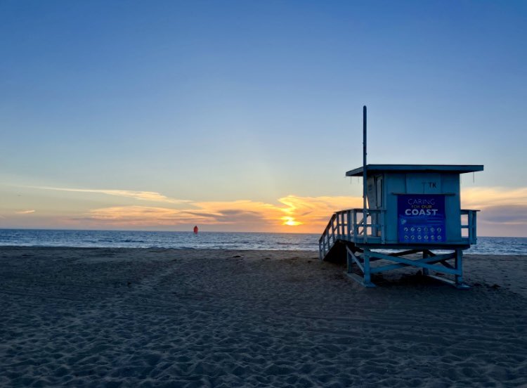 まりおてゃん。世界シーシャ₹˝ｬʓ‎ tweet media