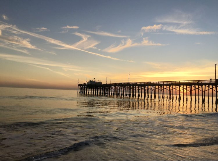 まりおてゃん。世界シーシャ₹˝ｬʓ‎ tweet media