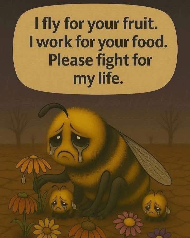 "As the bees cried out for help, I wish our response had been more urgent. They needed us, and we need them. 🌍💔 #BeeKind"