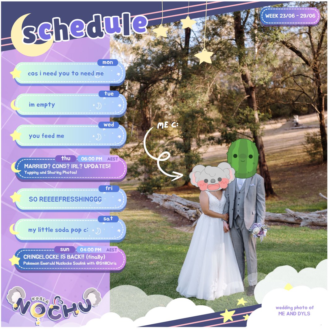✨Nochu ✨ VChuba 🌚 tweet media