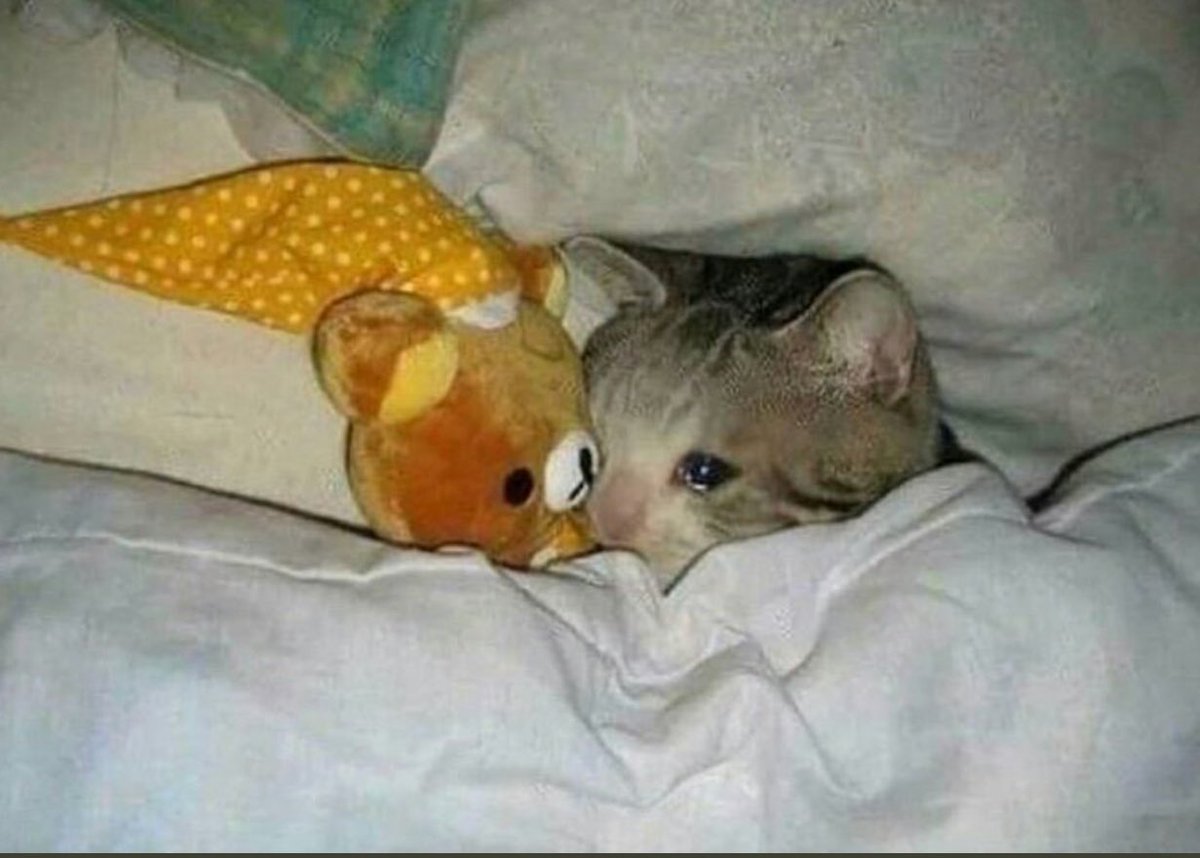 Mecburiyetten günü ayanlara günaydın , diğerleri uyusun 😴