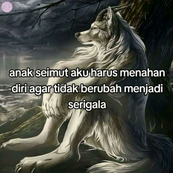 sevcondthr3e's tweet image. Kibarkan nama bidadariku di setiap akunku.