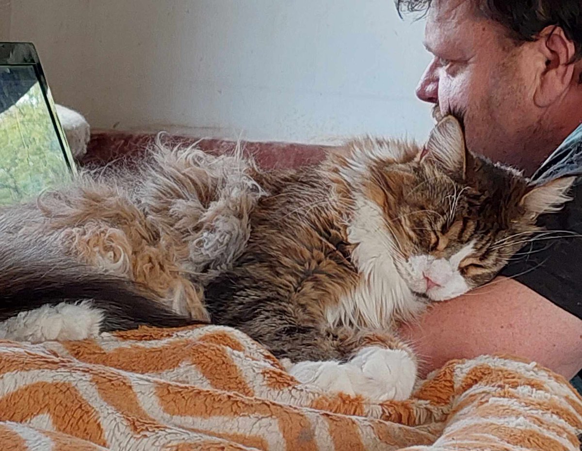 APELUJĘ!
Musimy zebrać dziś 370 zł na kolejne dawki leku 💔 

Pilnie potrzebna pomoc.
Amisia ma FIPA! 
Może ktoś ma lek Lucky Care, który może podarować. 

Jeśli nie, proszę o pomoc w zbiórce na lek! 

Chociaż 5 zł i RT.

pomagam.pl/amisiaa