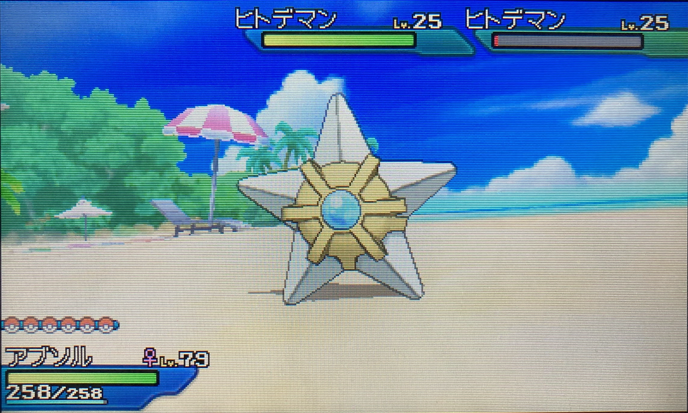 配布未育成日付ズレ無しザシアン｜ポケモンSV｜ゲームクラブ