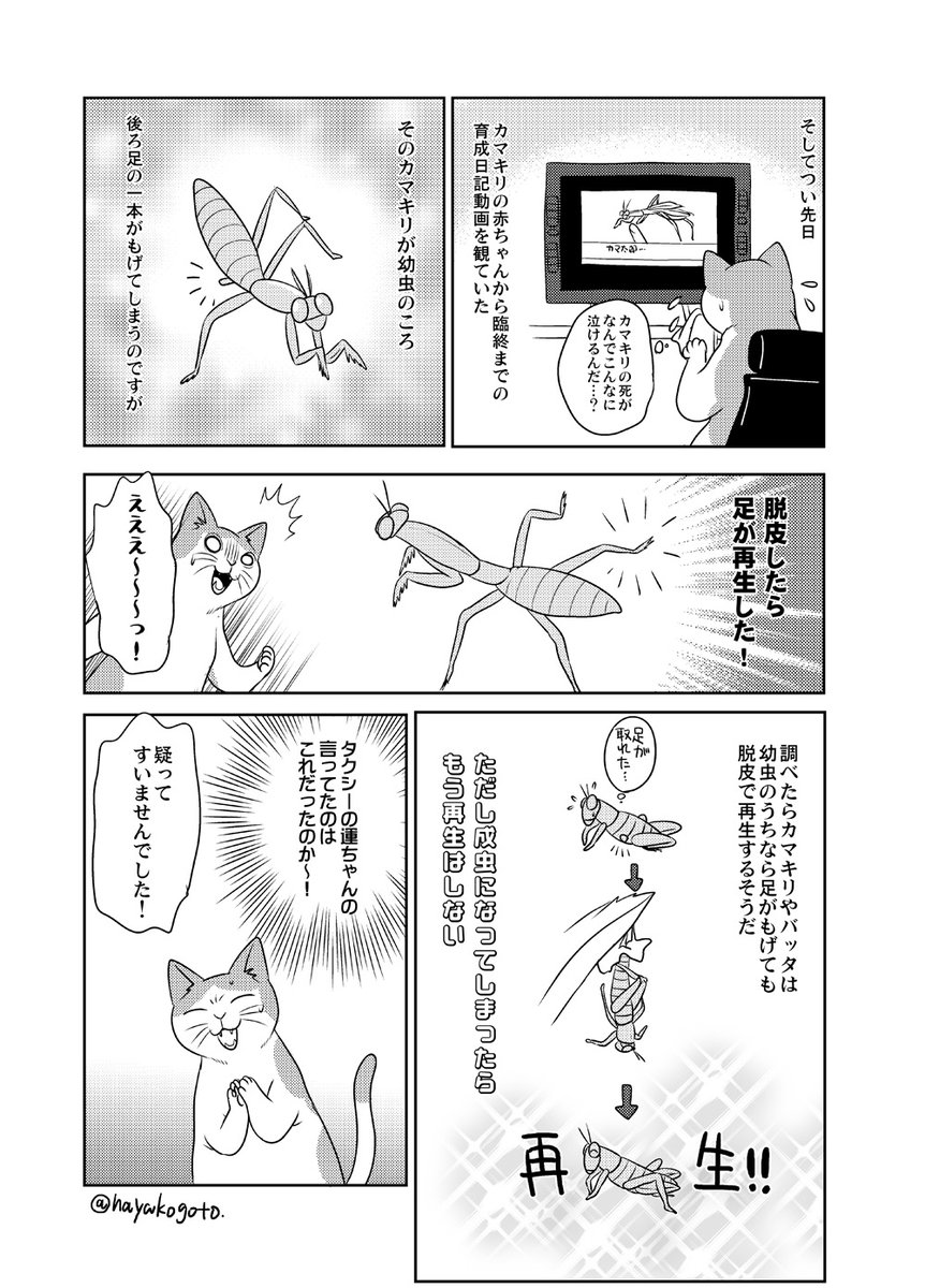 脱皮する生物は足を失っても脱皮時に再生するってことを知らなかった頃の話。 