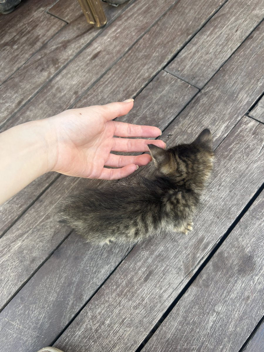 çok küçük ve cok salakkk