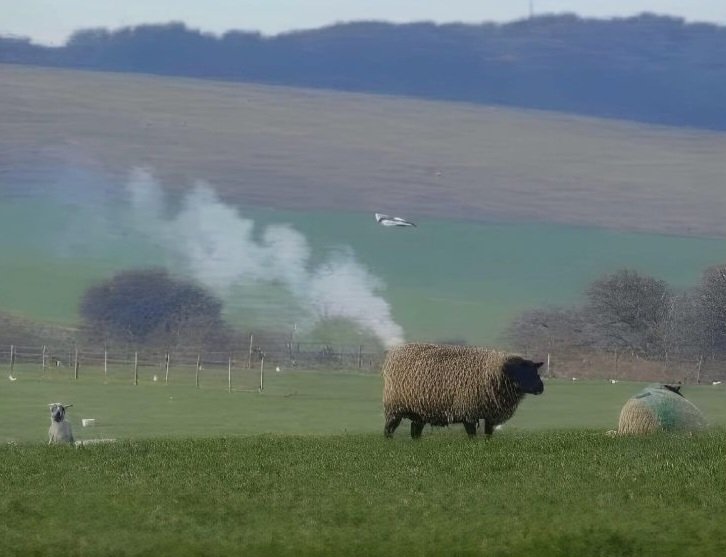 JJvanWijck's tweet photo. Een zeldzame foto van een van de laatste door kolen aangedreven schapen in het Verenigd Koninkrijk.

De meeste zijn nu elektrisch. https://t.co/50biqGygy0