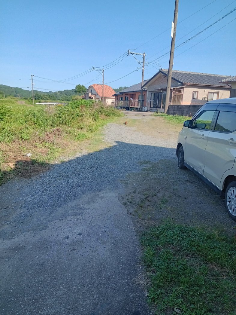 Toyosiri's tweet image. 動物愛護センター大分　で見て貰って　消毒液を塗りたくって栄養分が豊富な食べ物や何時ものキャットフードを挙げたら元気に成り、傷も回復しました!
暑くなったので百均のペット用ハサミで大人しく首周りを切らせてくれたﾏｲﾄ
やはり爪切りと同じで慣れてた( ・ὢ・ )
捩るだけですね( ・∇・)