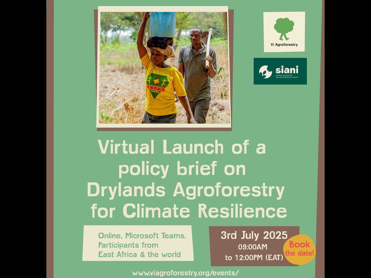 SIANIAgri's tweet image. EVENT |
Join the SIANI expert group "Dryland Agroforestry in East Africa", led by @ViAgroforestry, for the launch of their new policy brief on how to mainstream agroforestry.🌳
🗓️ July 3, 2025
🕥 9.00–12:00 EAT (8-00-11.00 CEST)
🔗 Register here: buff.ly/VIrBy4x