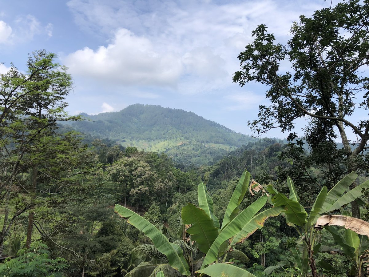 Desa Talun di lereng Gunung Wilis Ponorogo