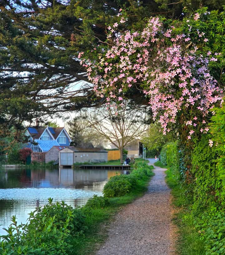 BBC Sussex tweet media