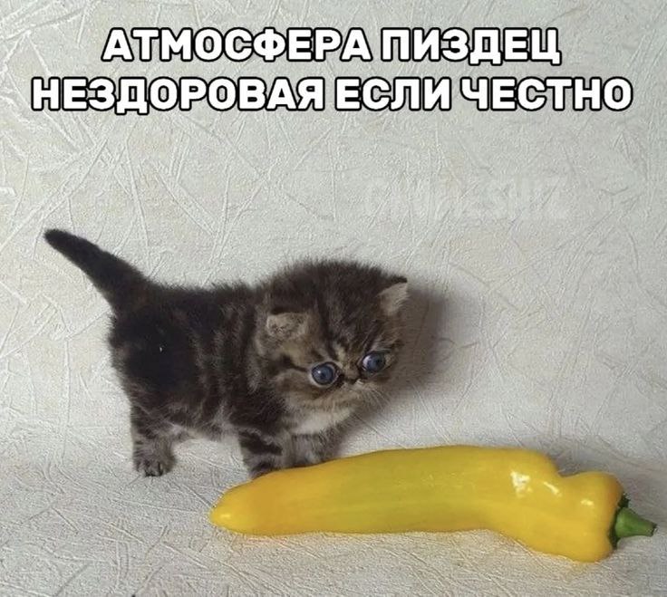 утречко коллеги