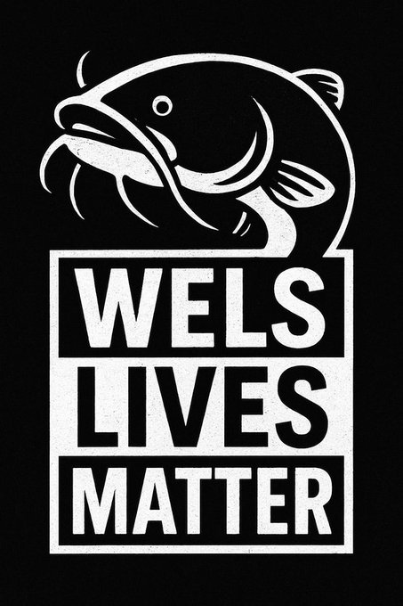 <a href="/mtaushb/">Der EU auf ewig treu ergebener MT aus HB</a>