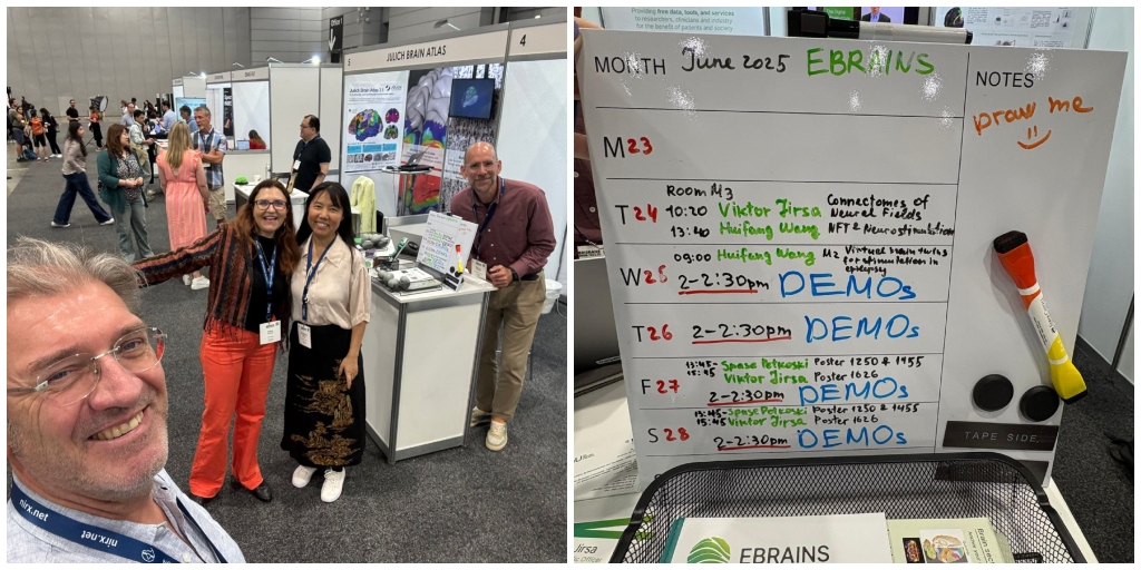EBRAINS_eu's tweet image. Come visit us at #OHBM2025 in Brisbane!
We are at booth 4 to answer your questions about EBRAINS and the Virtual Brain Twin project.
Every day this week, from 14:00-14:30 GMT+10, we will offer demos on the modelling and simulation tools available on EBRAINS. Make sure to stop…