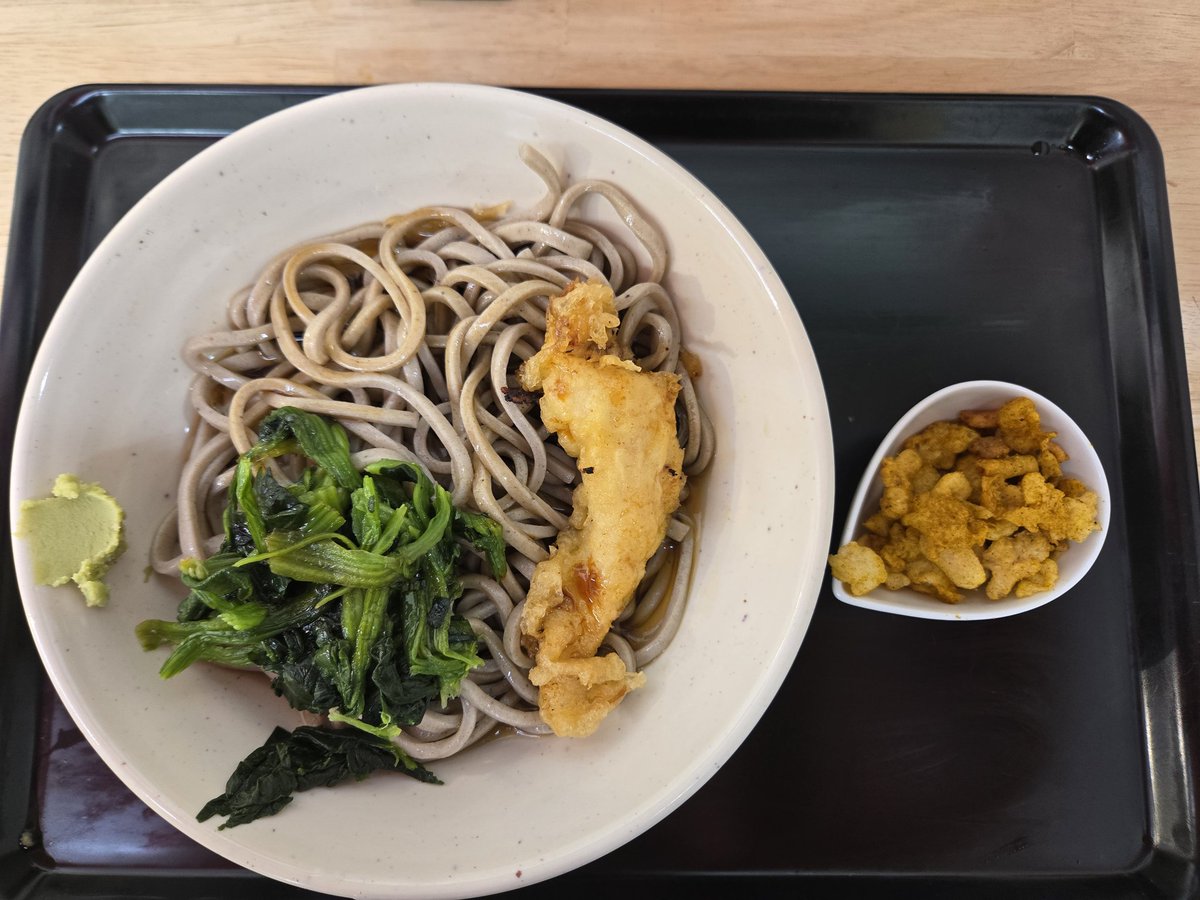 sada112's tweet photo. しばらく投稿を忘れていましたが…
今日は、冷やしほうれん草蕎麦に
ささみ天とカレーたぬき。
雨だったので、温蕎麦と迷いましたが、冷やしに。
カレーたぬきをいれて、天地返し。
カレーたぬきがほどよくなったとこで、松汁といただく。
んまい！
#松石 https://t.co/ELb255KfMR