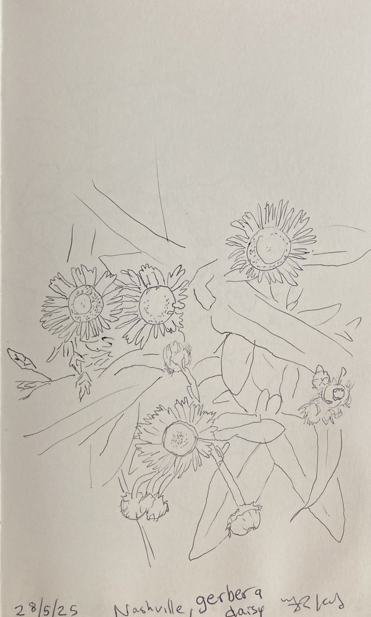 Today’s #sketch from 28/5/25 of #Nature #ballpoint #Pen #Drawing 21.5 x 13.5 cms  on paper

More sketches
instagram.com/frankkiely/