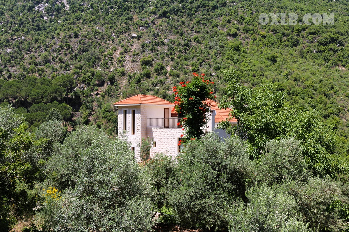 Two houses in the village of Habil... which one would you choose if asked to spend your summer in Lebanon? Right or left?! lebanonpostcard.com

#lebanon #lebanonhouse #oldhouses #village #summer #lebanonsummer #choose #choosephoto #livelebanon #discoverlebanon