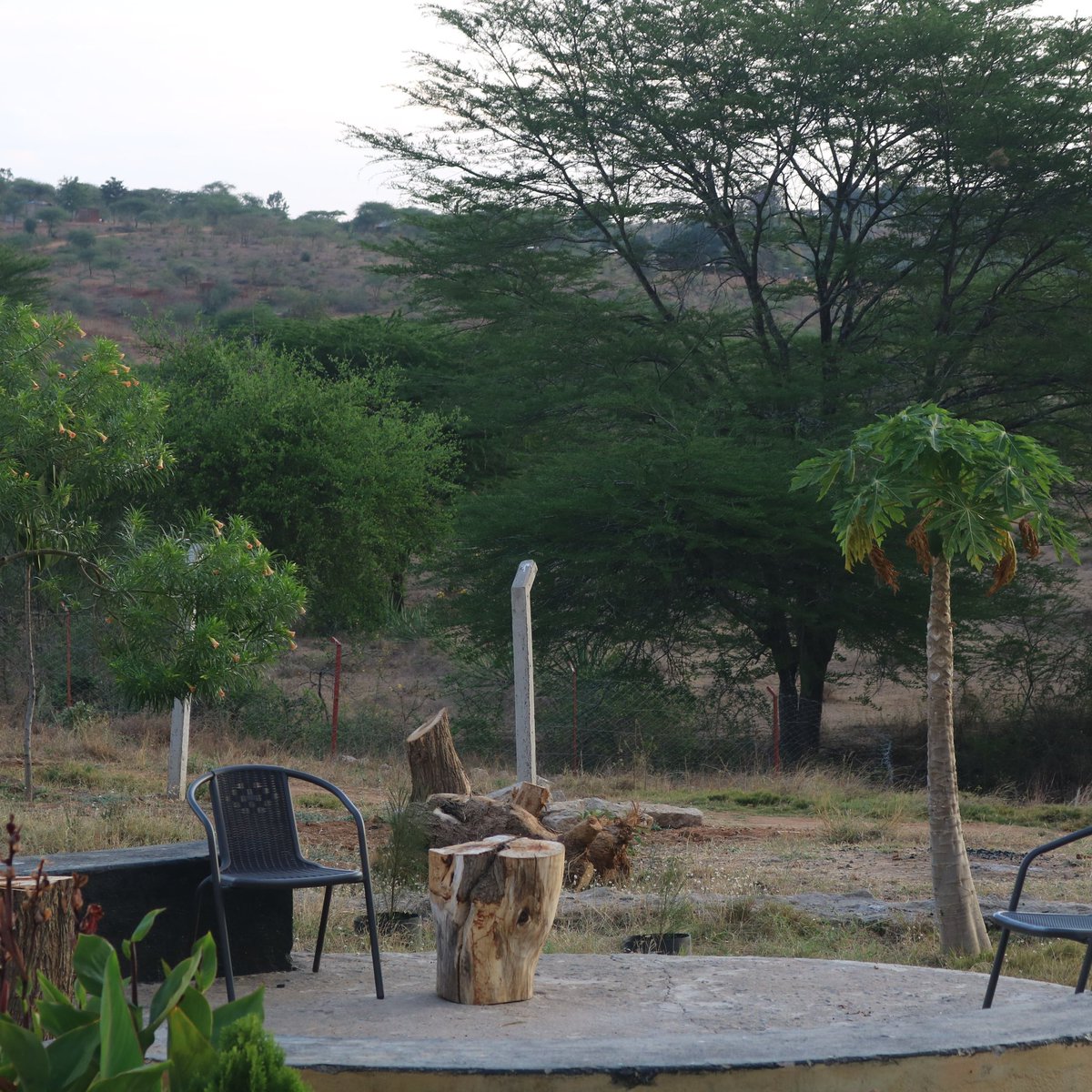 ProcessDigtal's tweet image. Good morning from Nthike farm Mwala Machakos #Machakos #accomodation #GenZ15MillionStrong