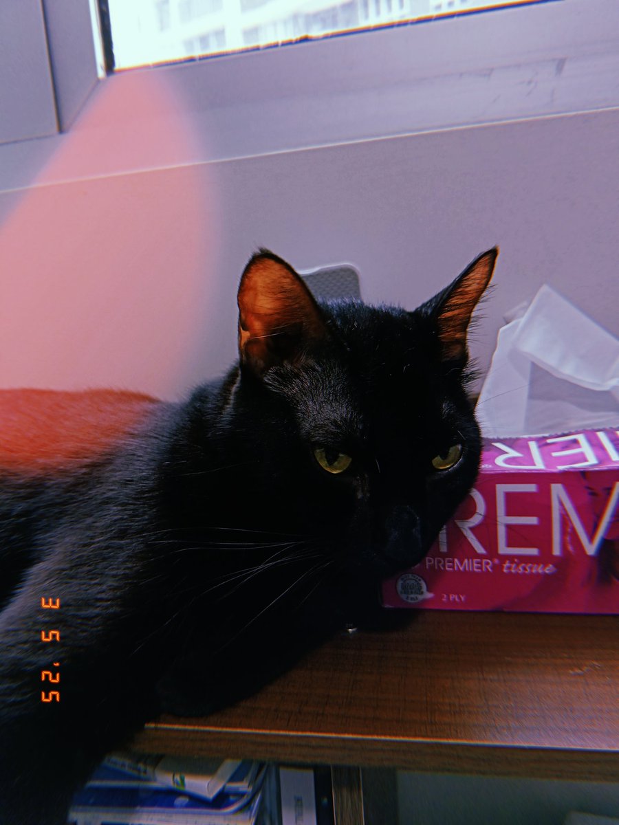 Hensem...