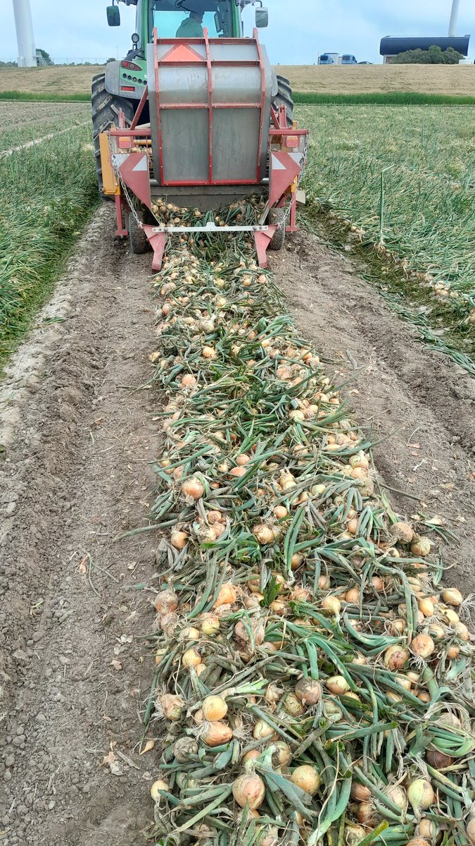 Michael Schippers tweet media