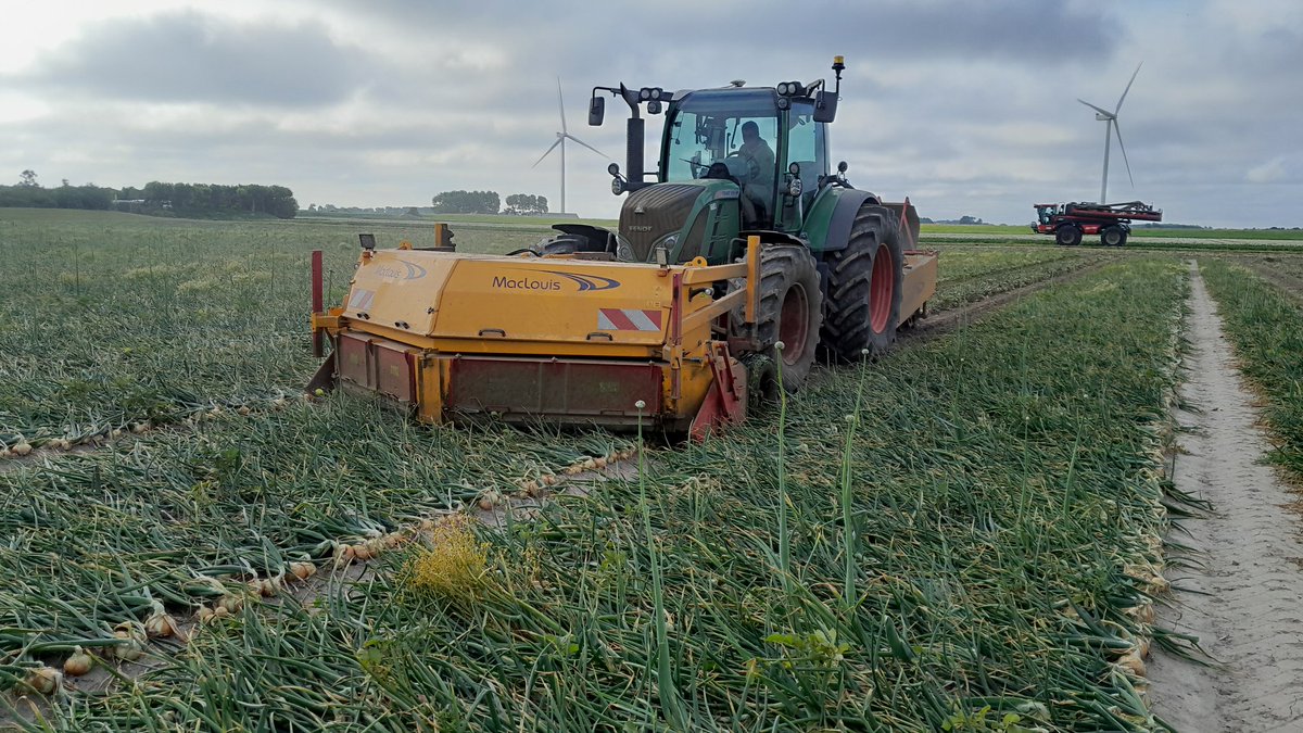 Michael Schippers tweet media