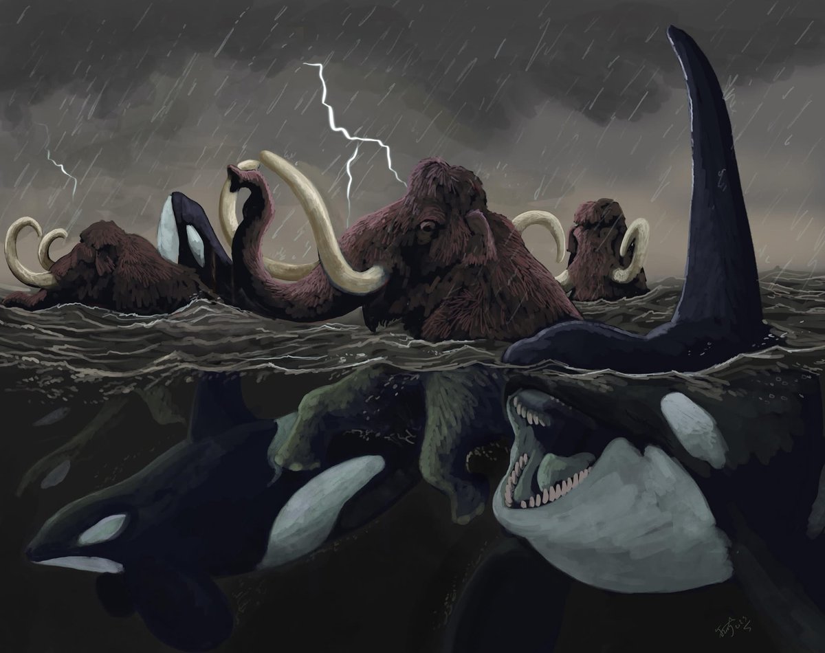 Pleistocene only sights 😩