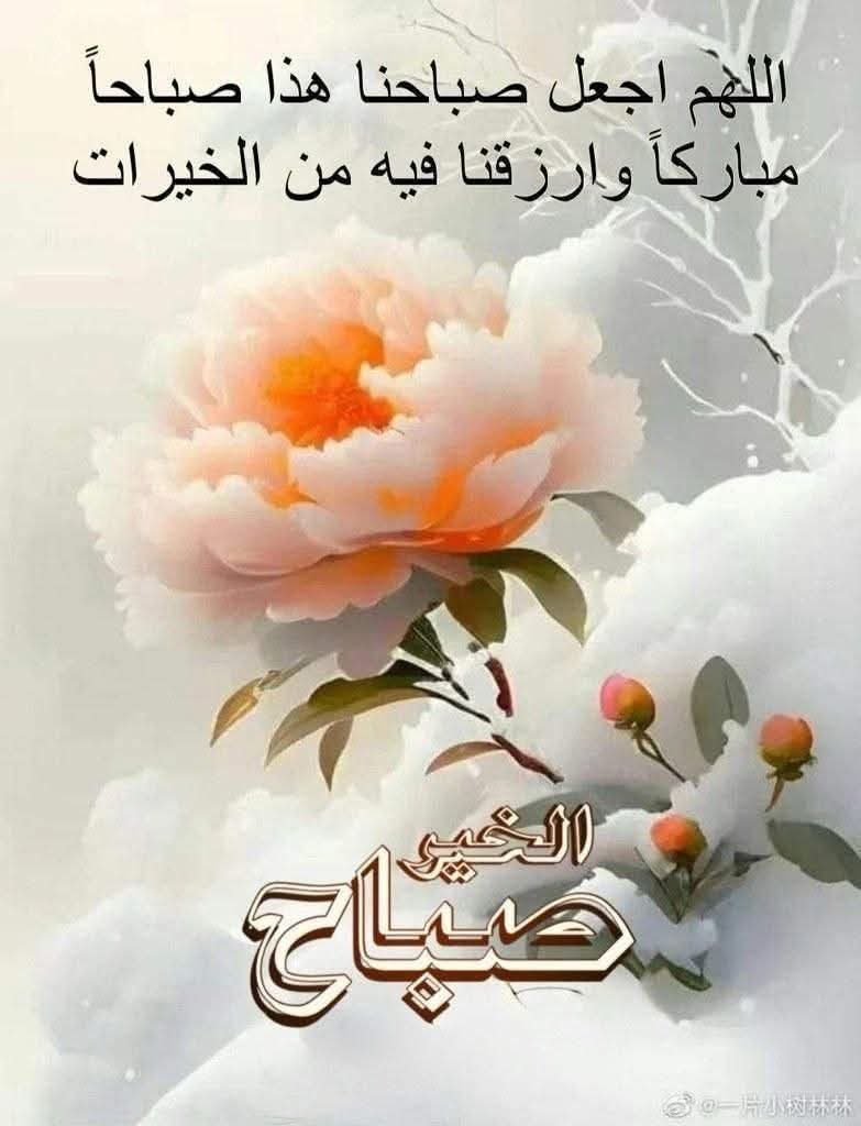 الملكه المصريه👌د/تووووت هانم tweet media